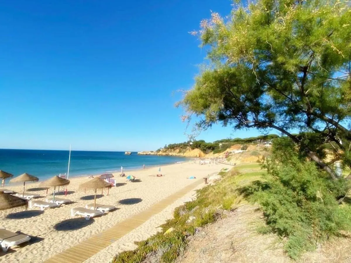 Coral By Albufeira Rental Portugal